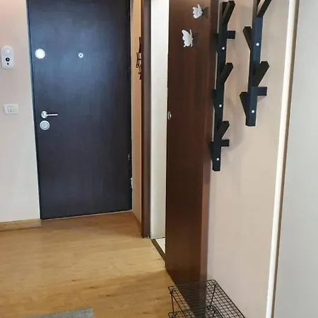 Coquette Eva * Timişoara