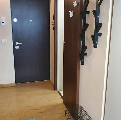 Coquette Eva * Timişoara